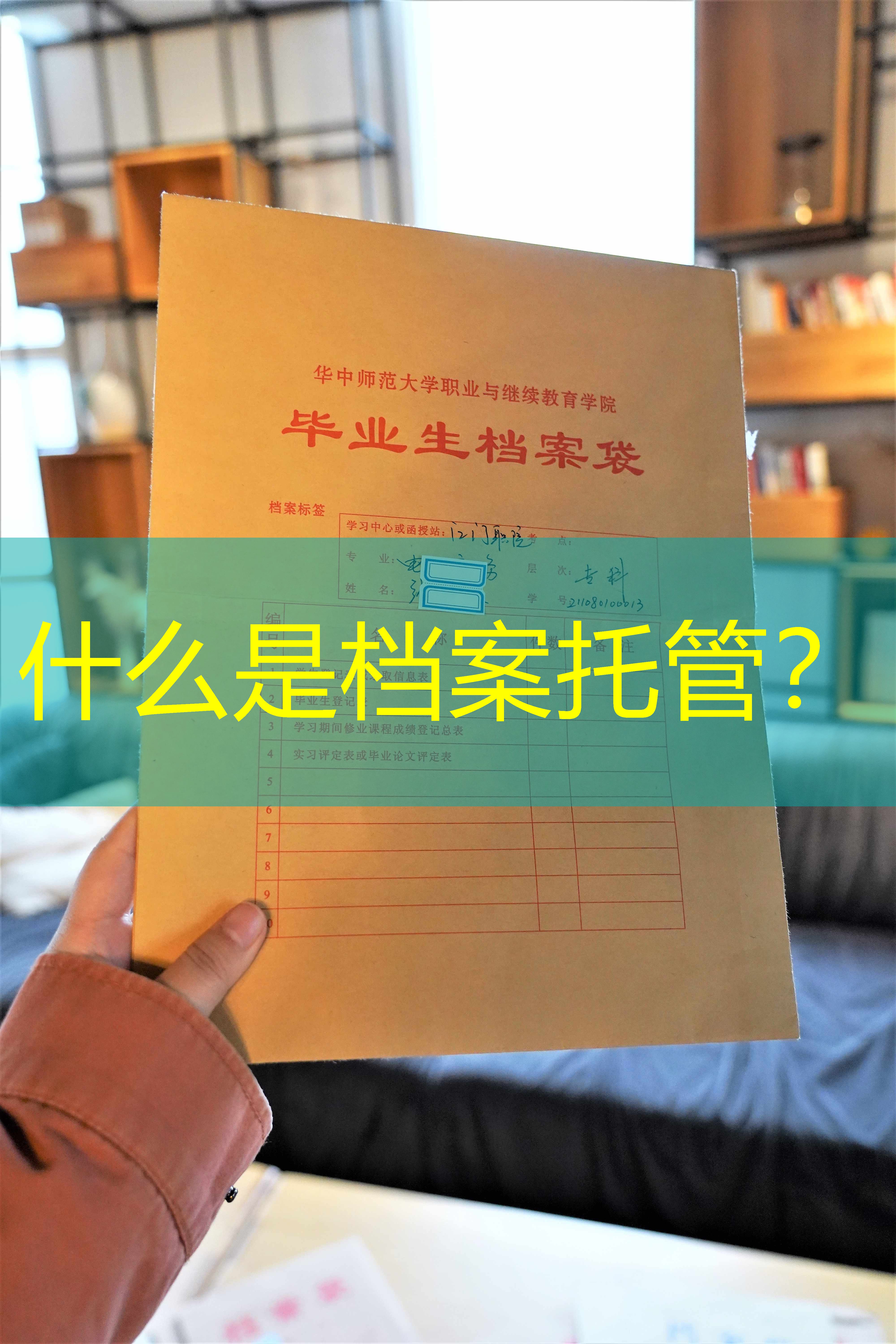 档案查询