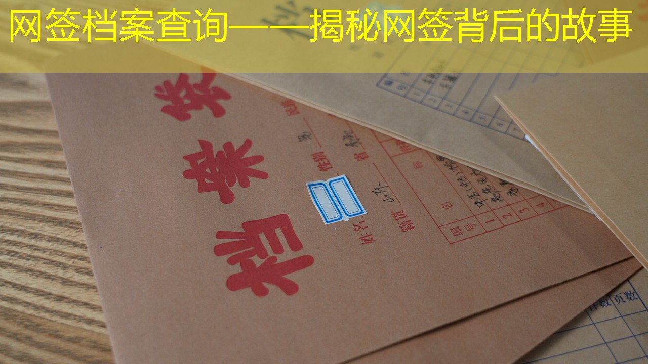 档案查询