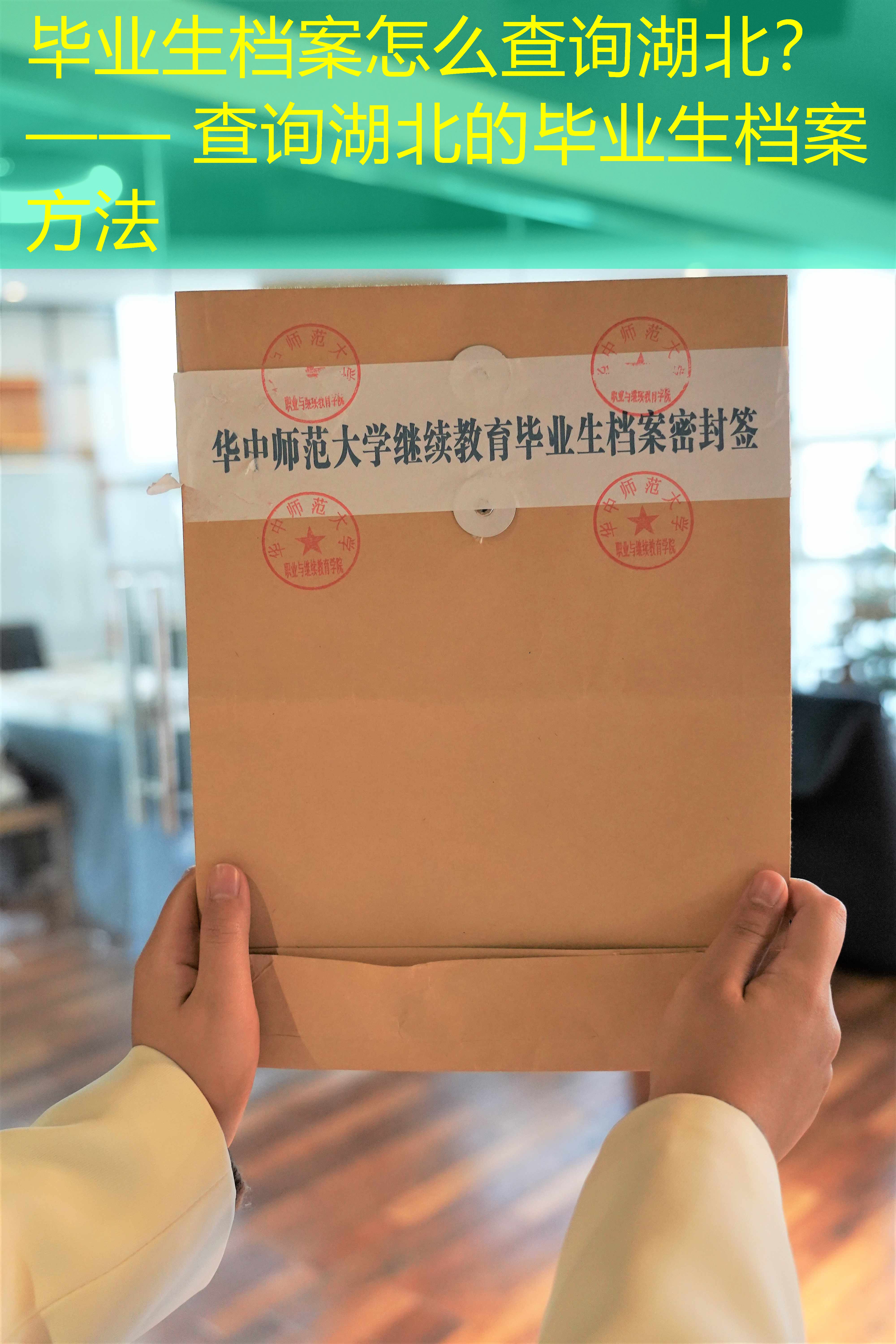 档案查询