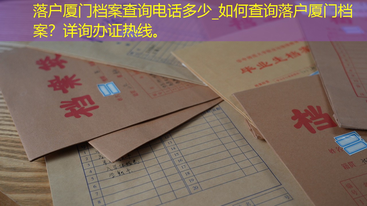 档案查询