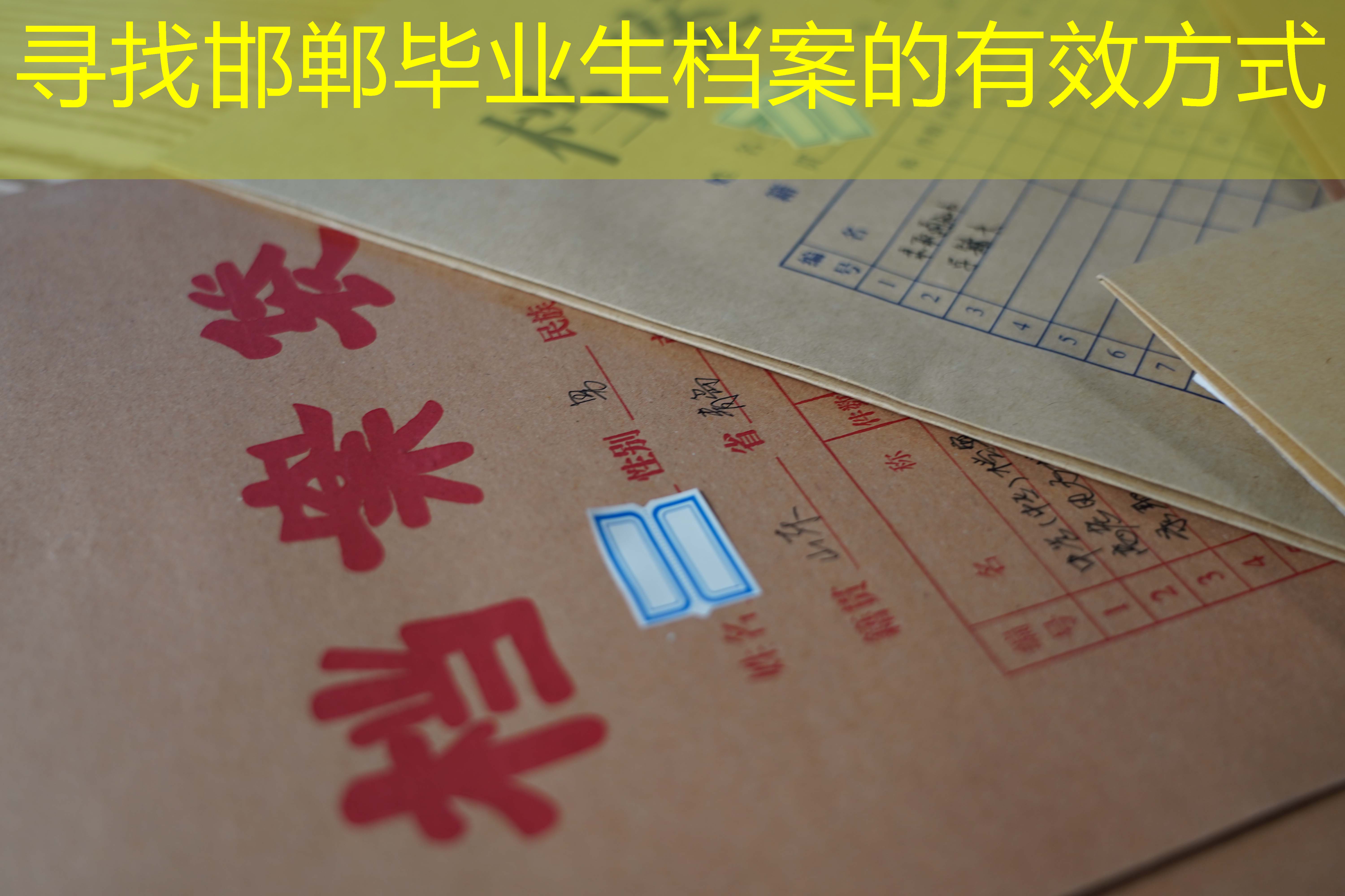 档案查询