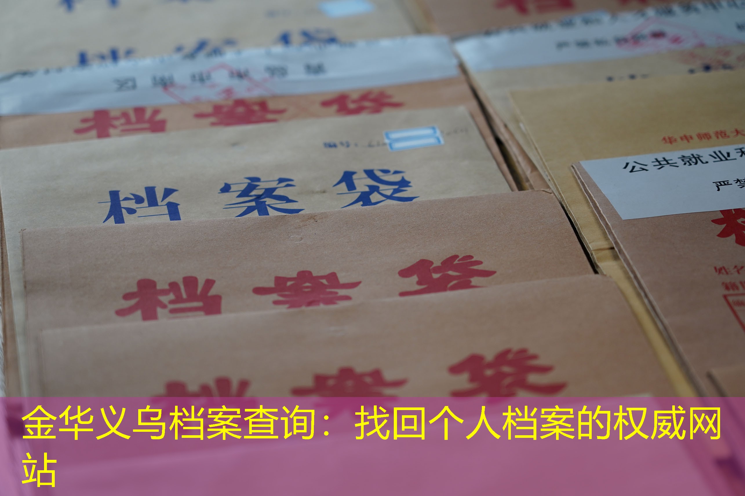 档案查询