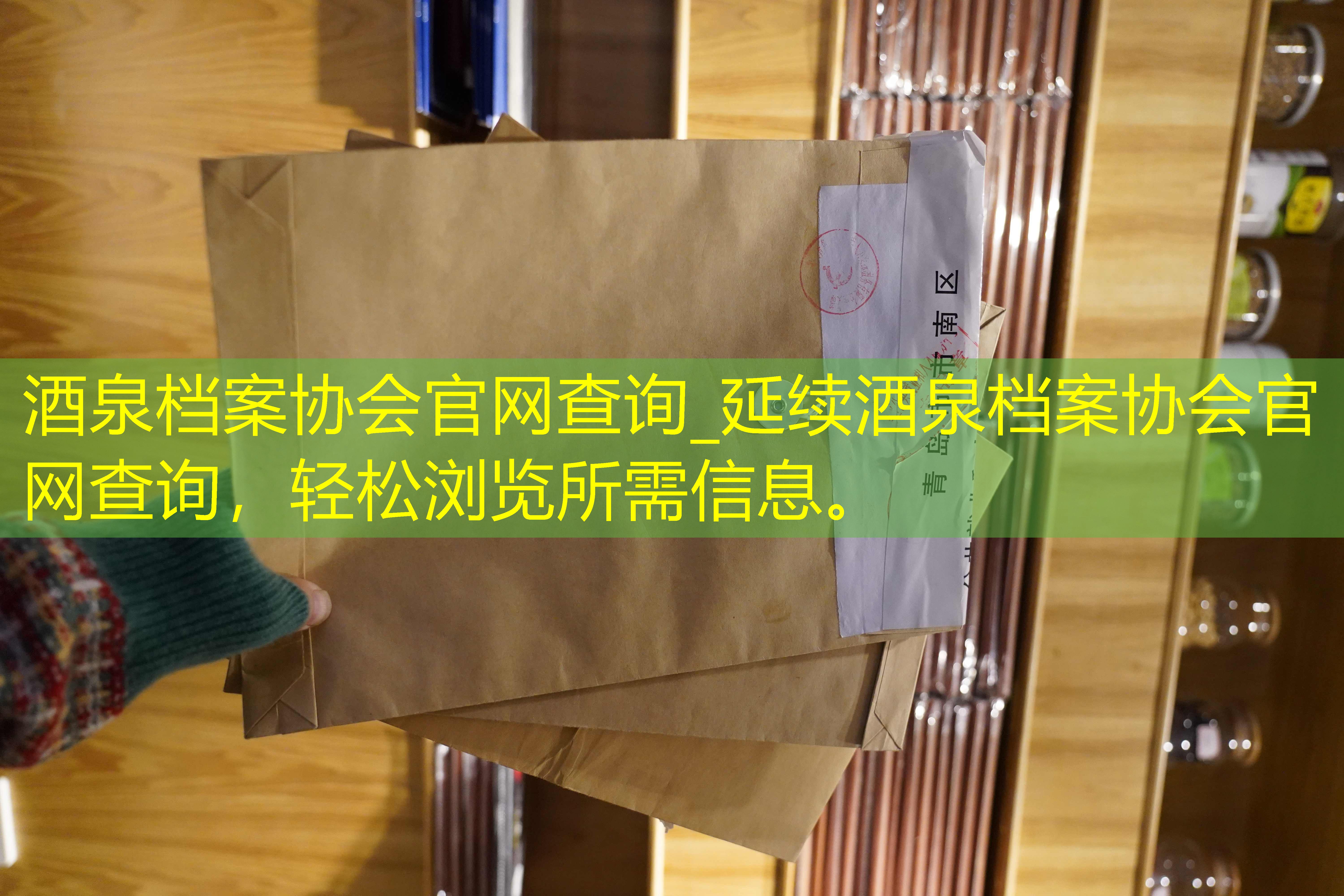 档案查询