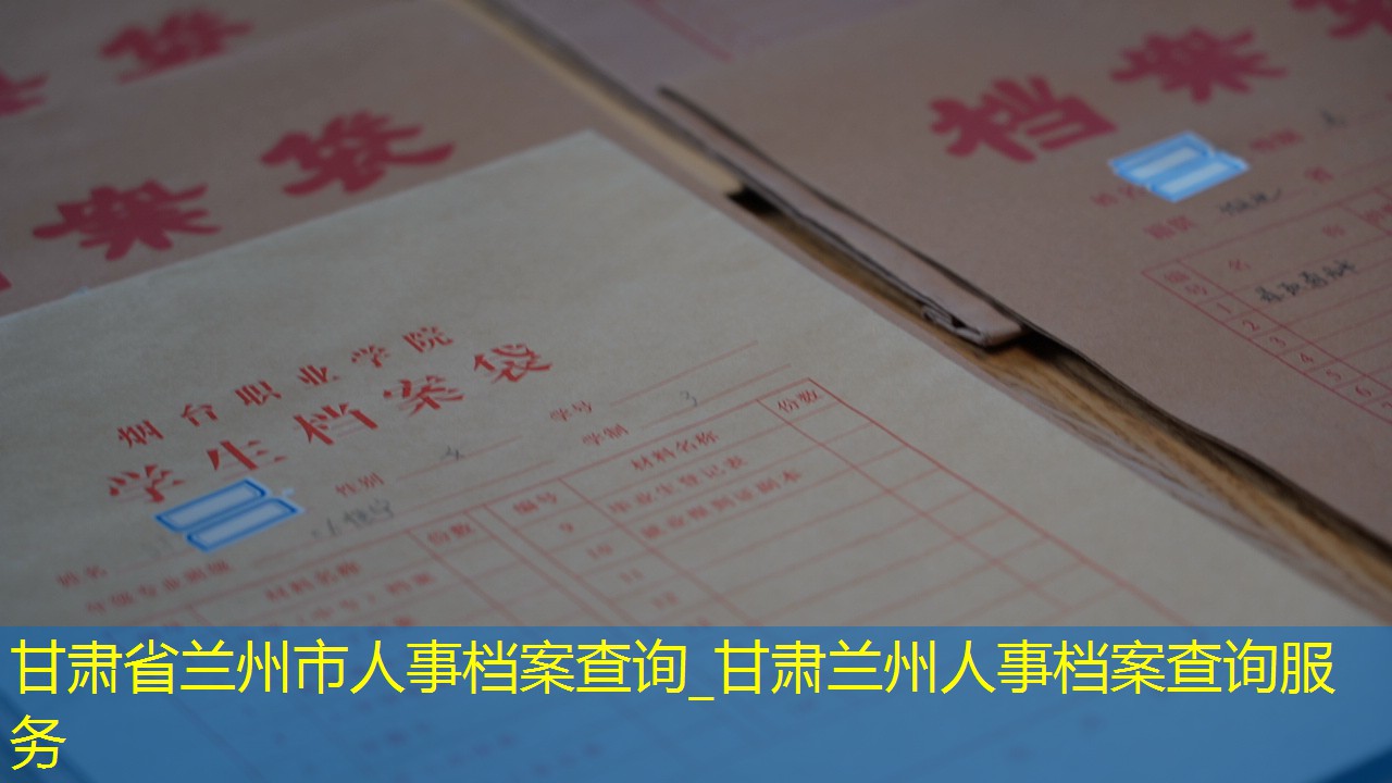 档案查询