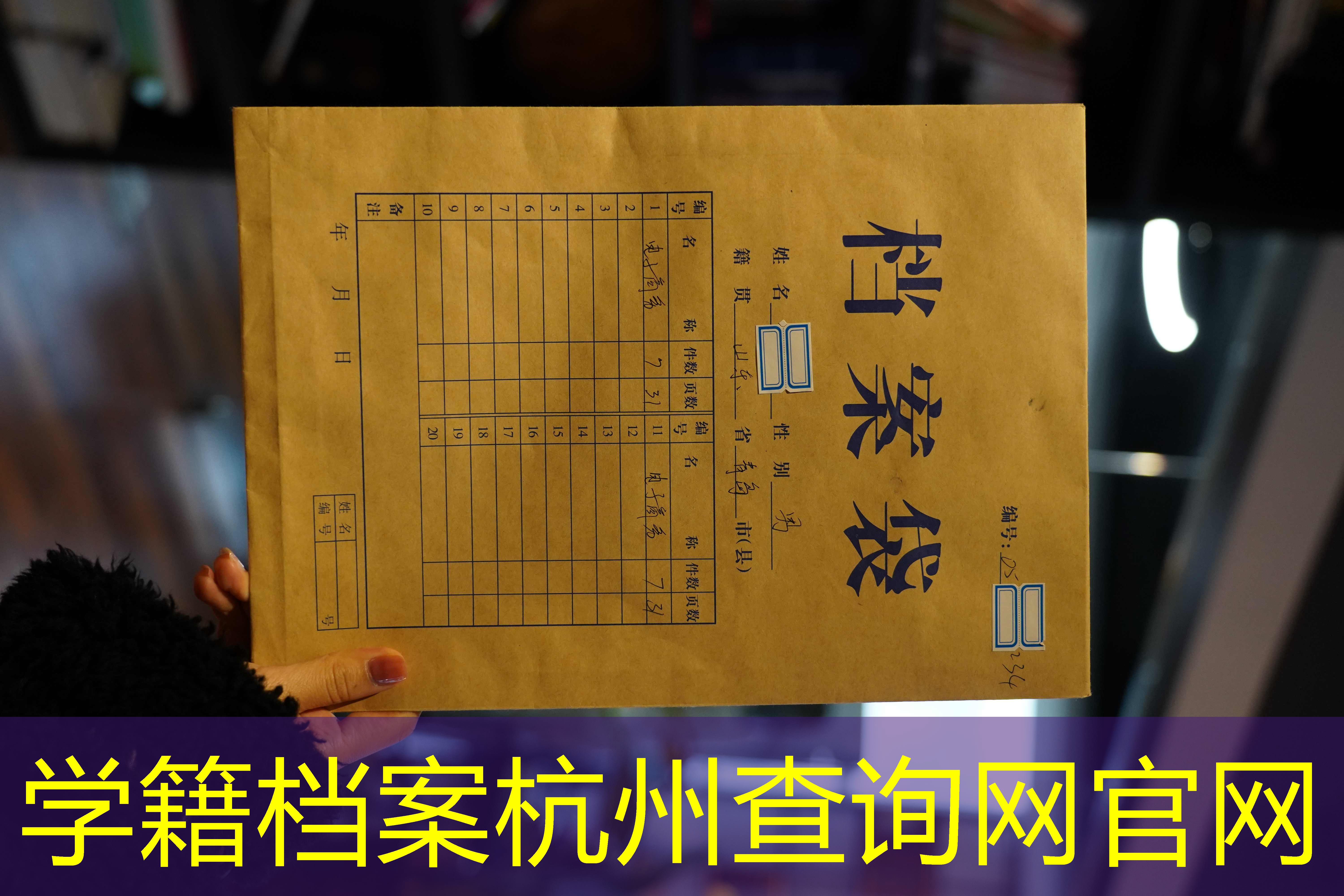 档案查询