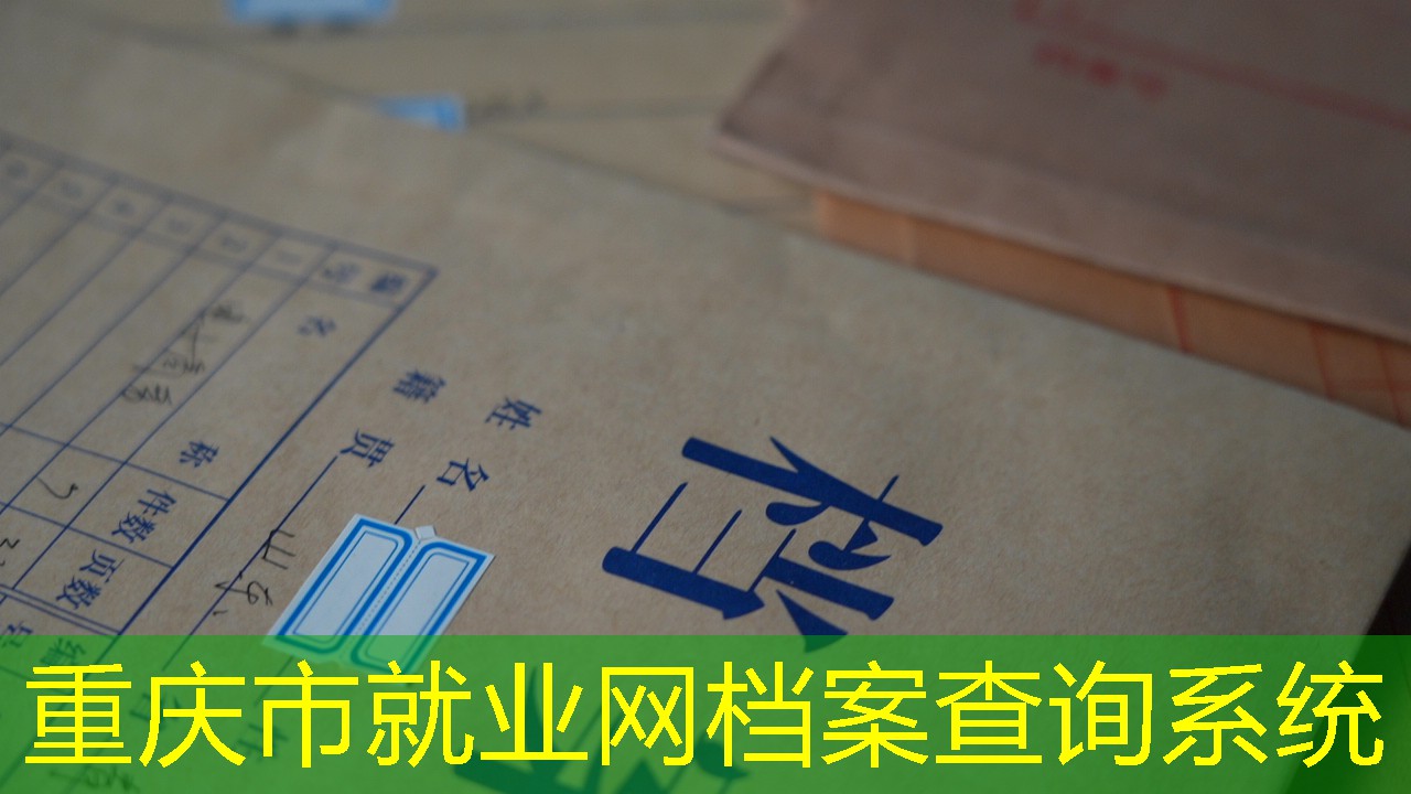 档案查询