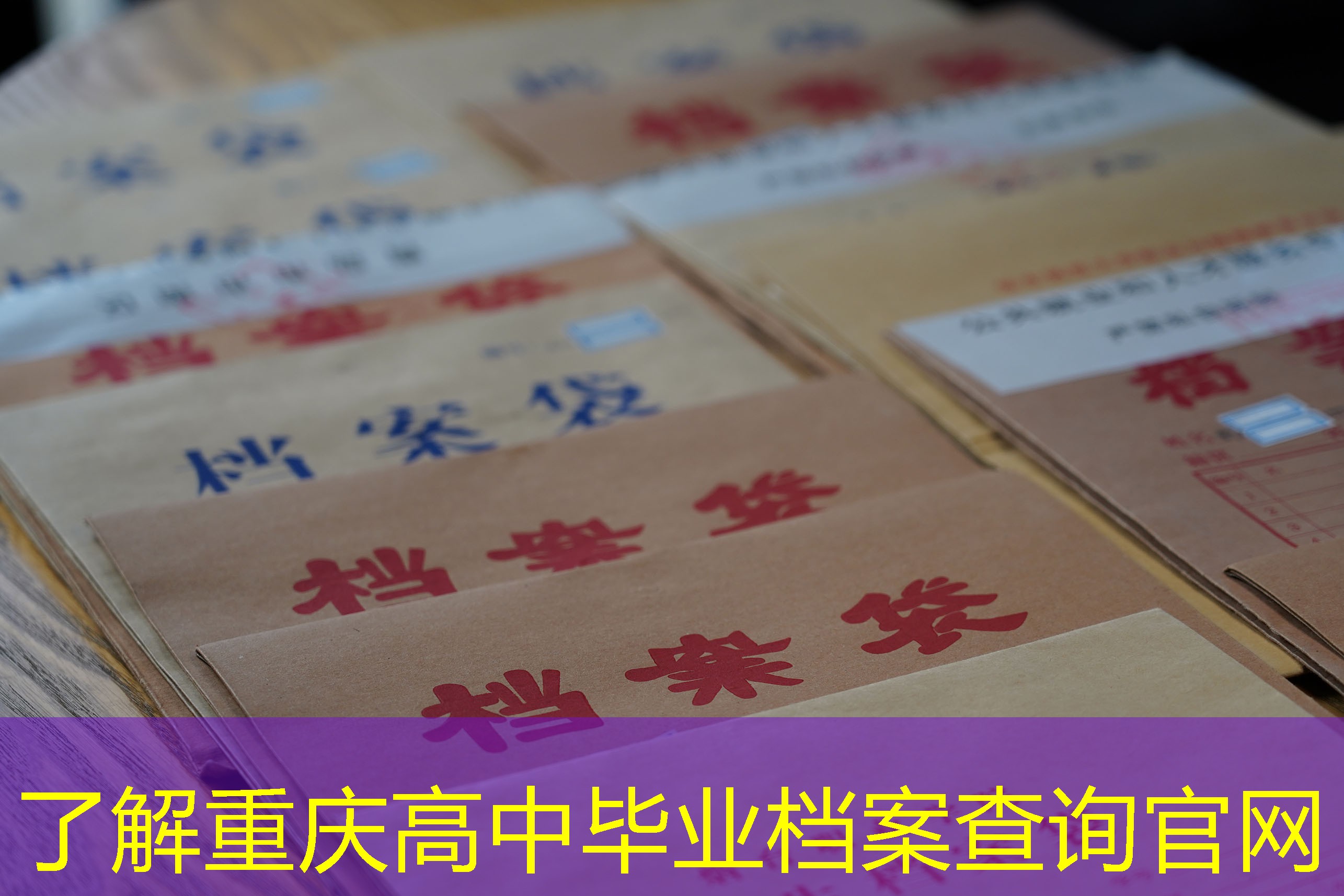 档案查询