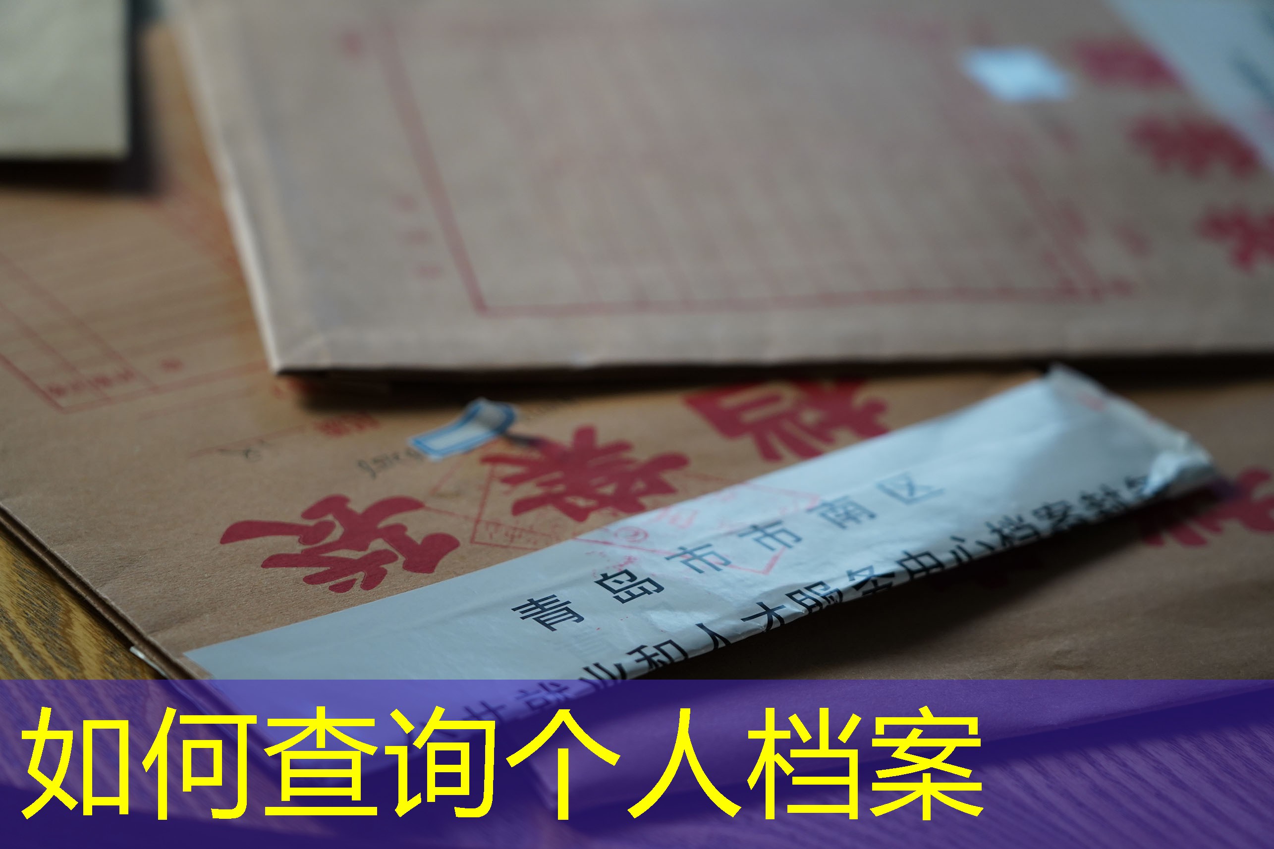 档案查询