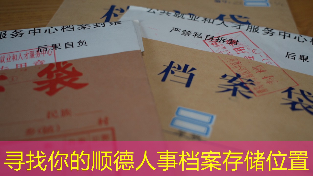 档案查询
