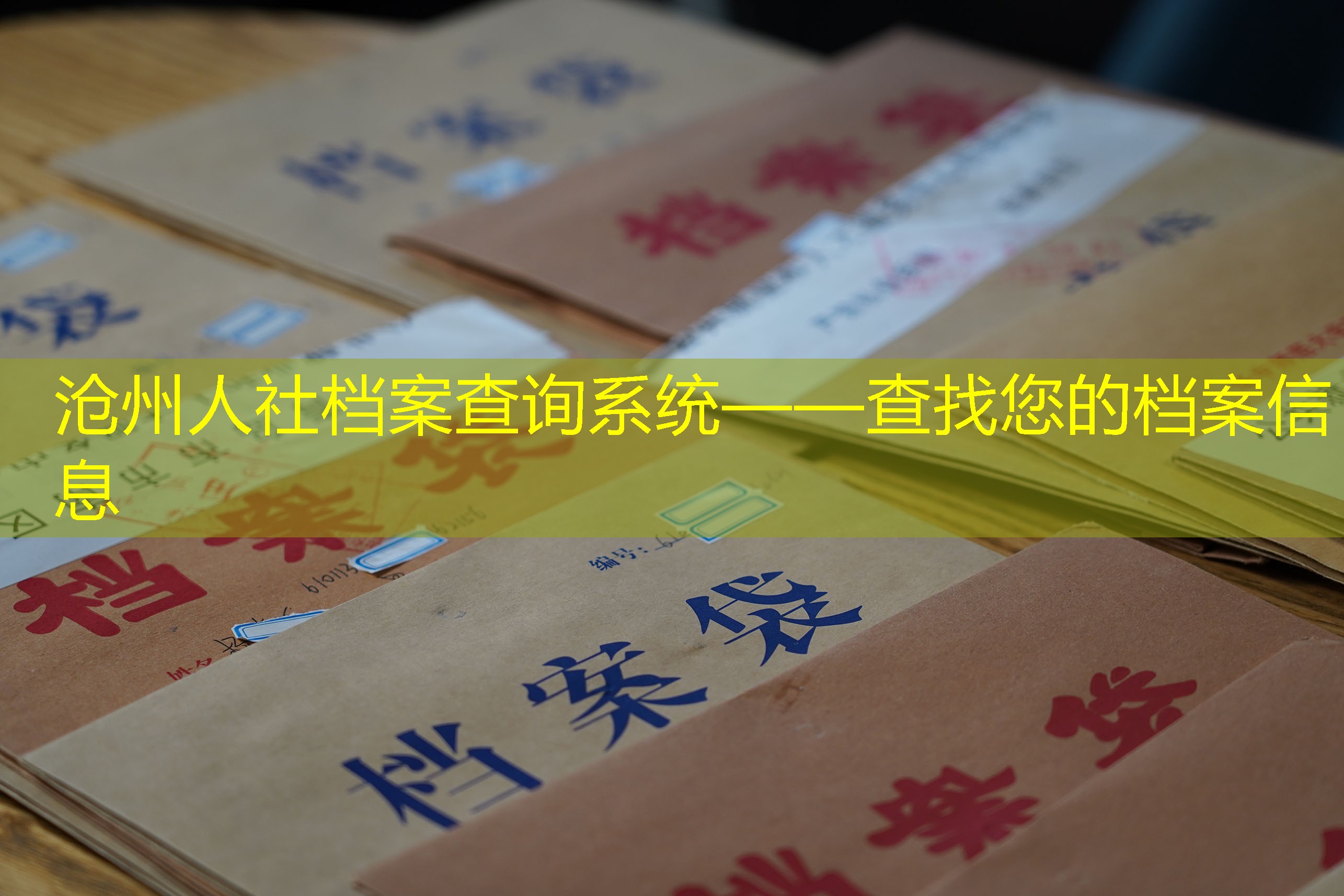 档案查询