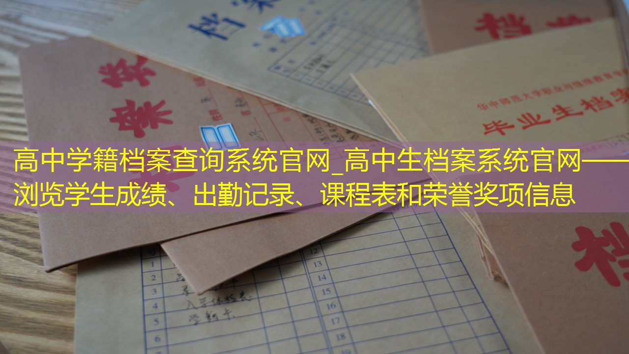 档案查询