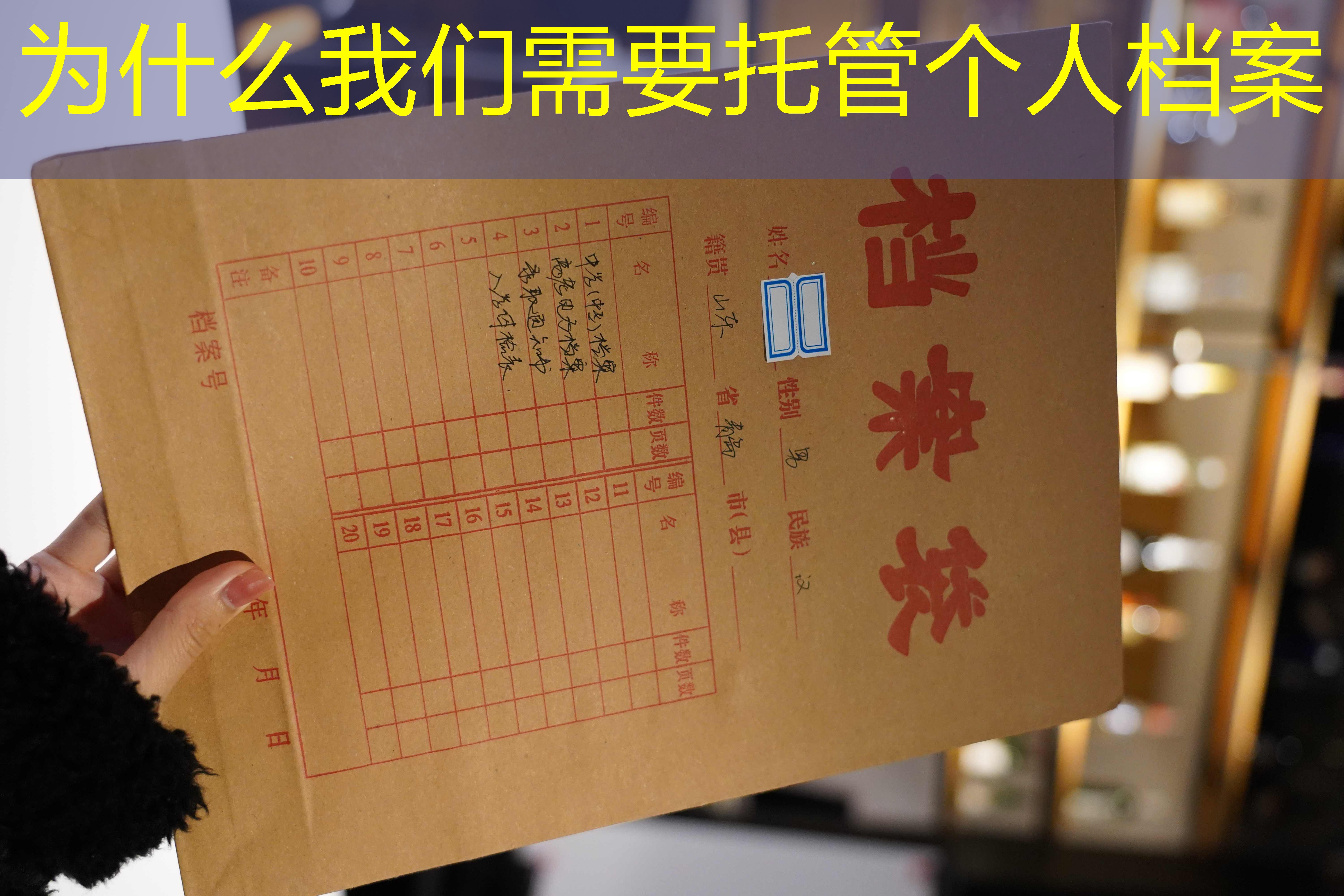 档案查询