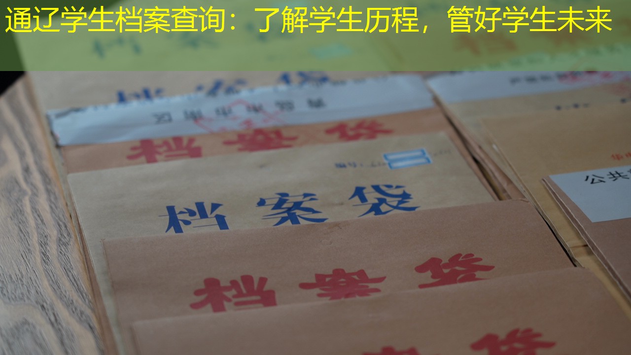 档案查询