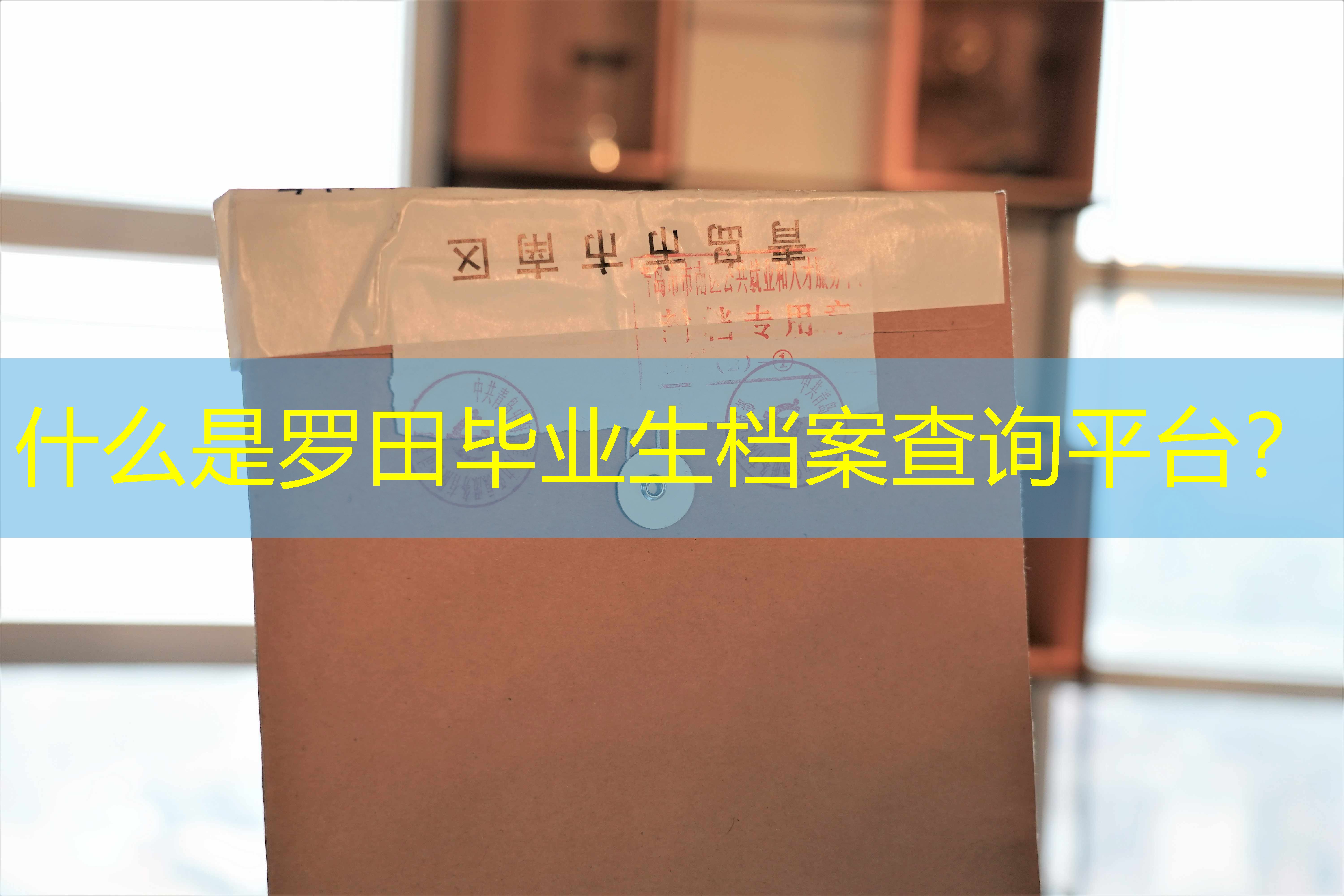 档案查询