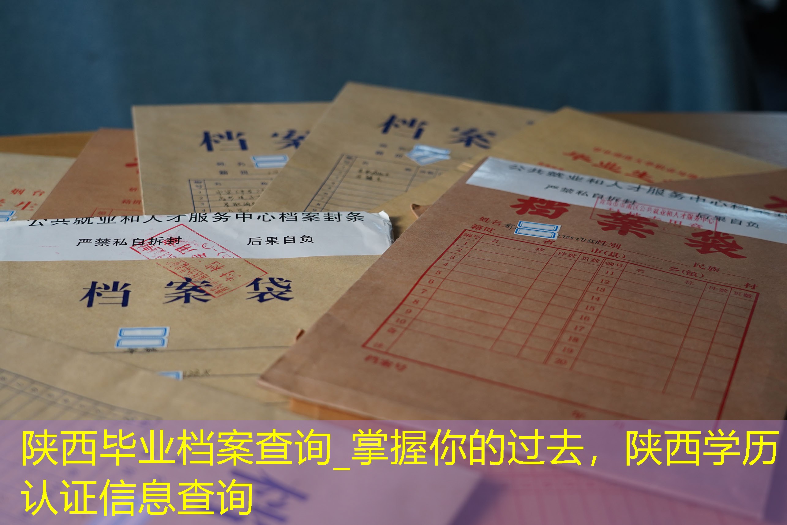 档案查询