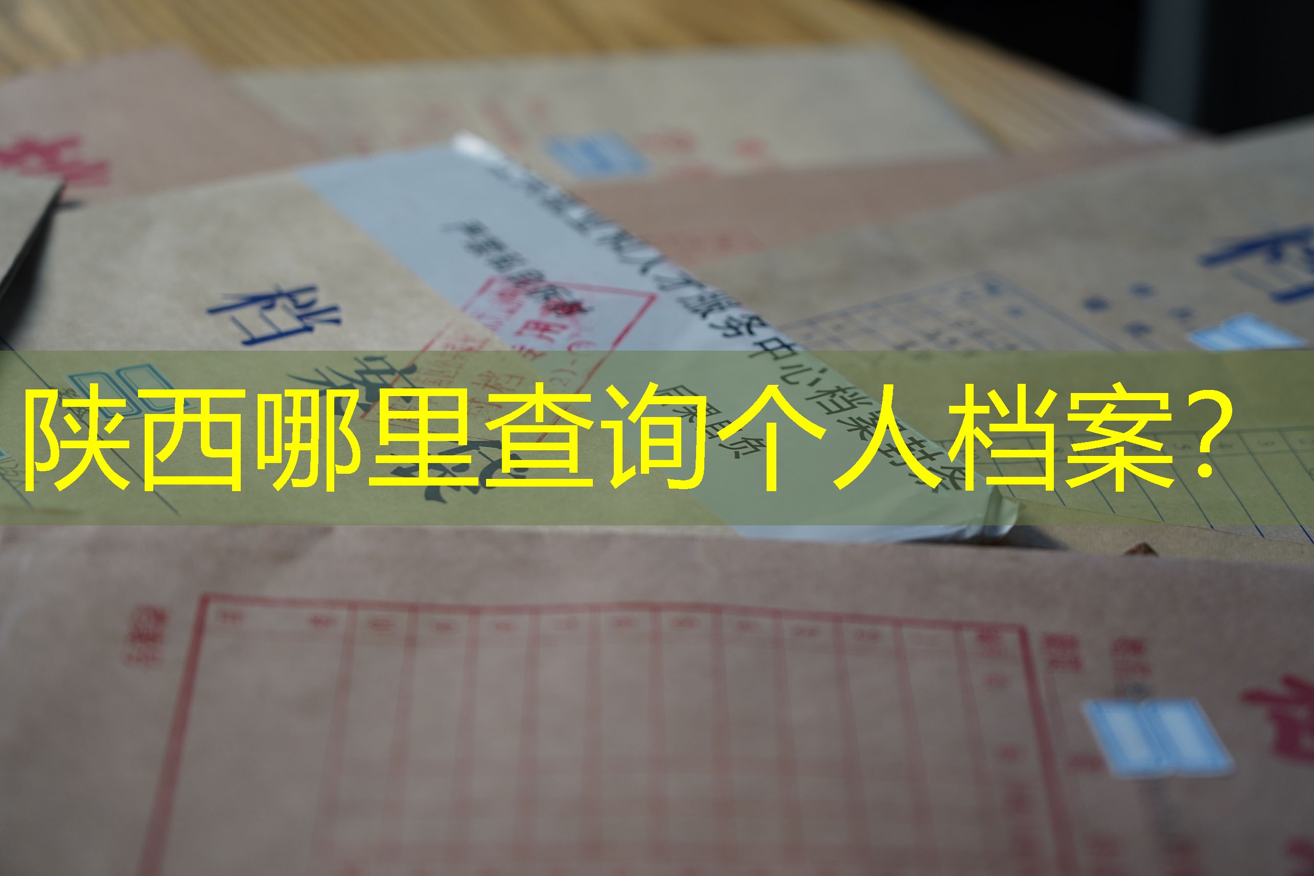 档案查询