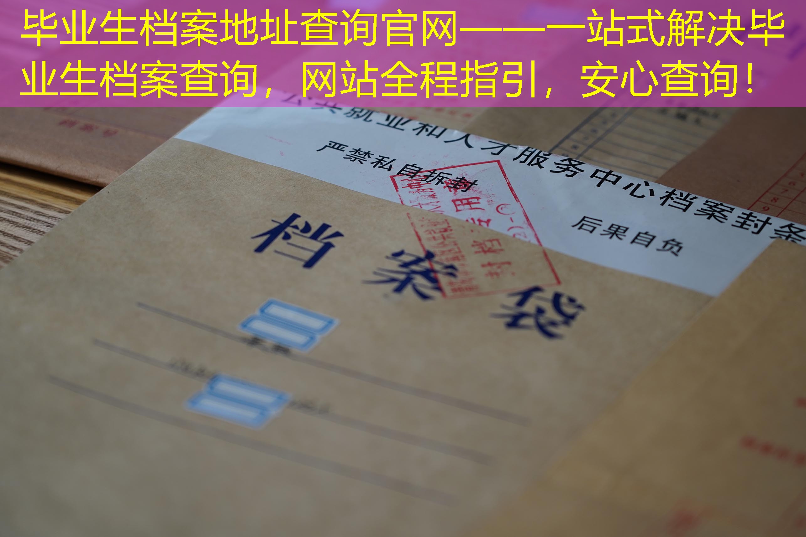 档案查询