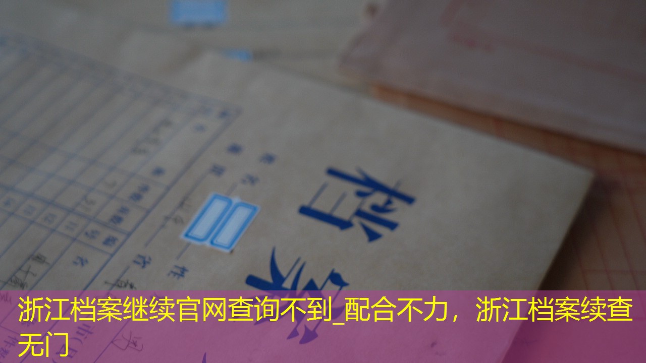 档案查询