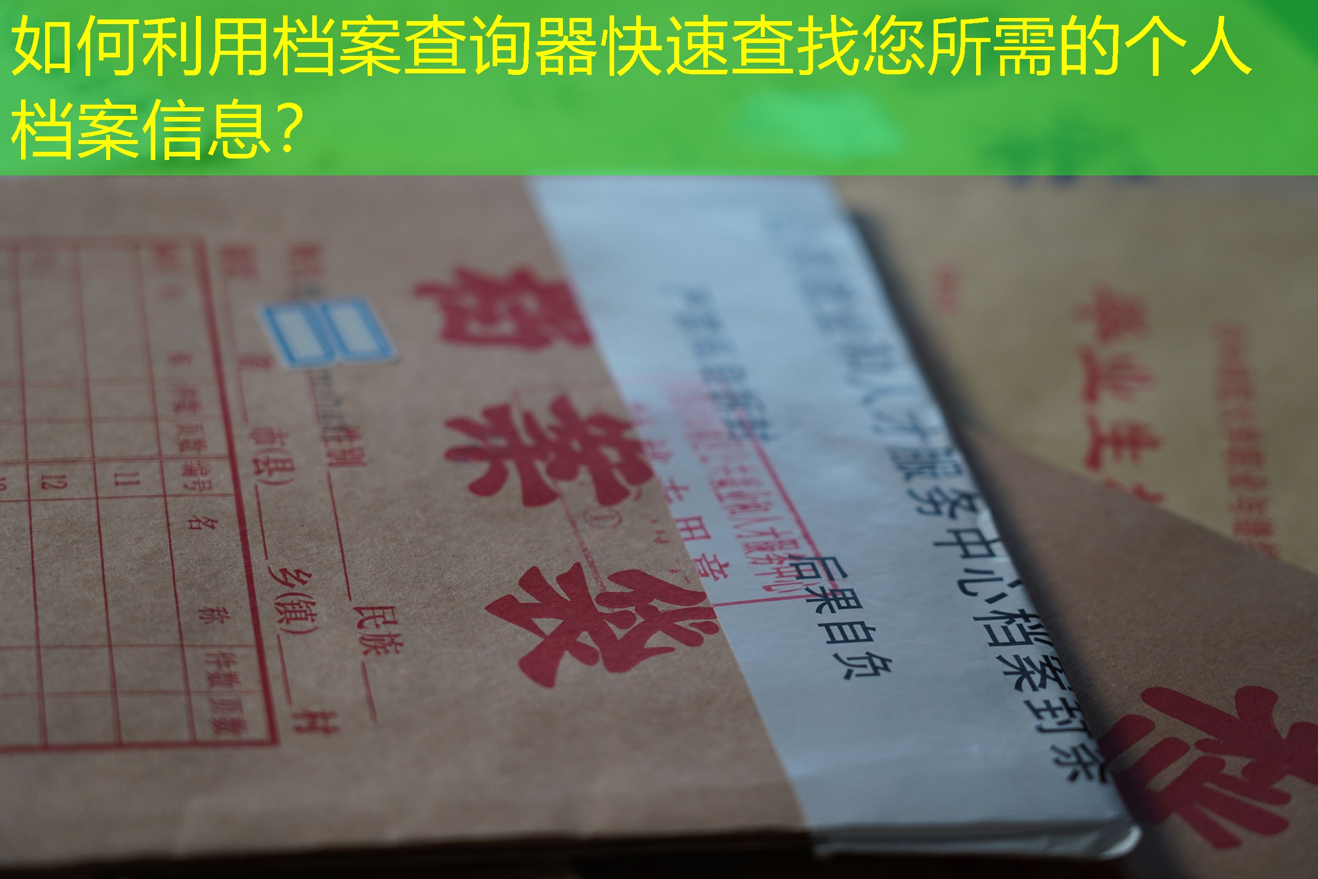 档案查询