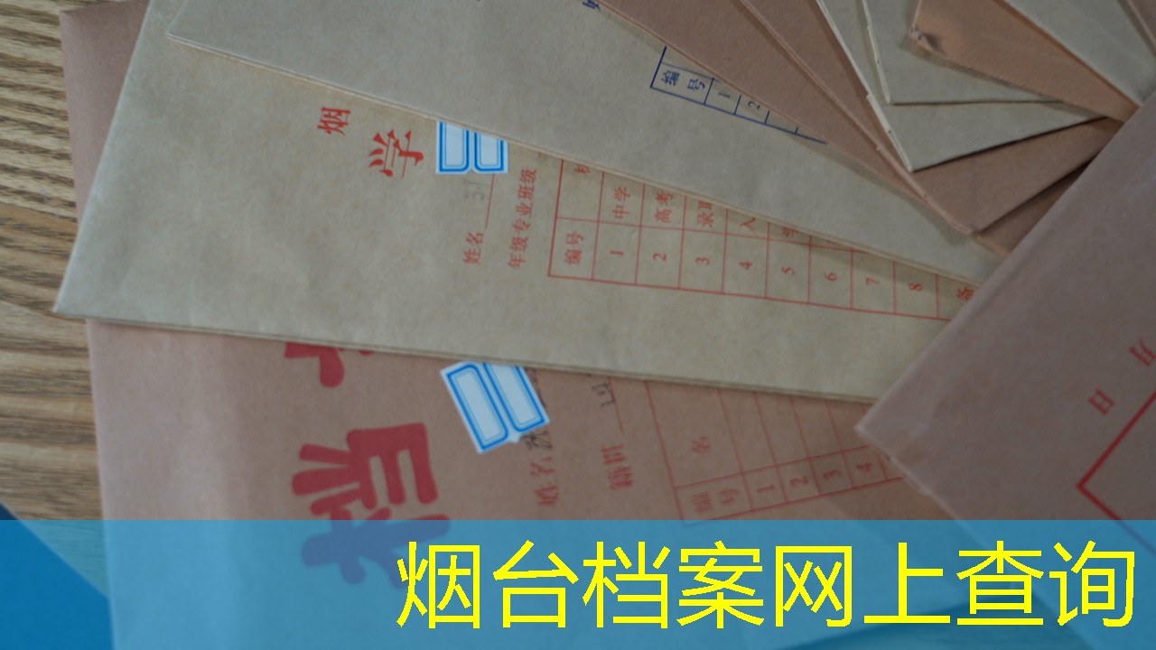 档案查询