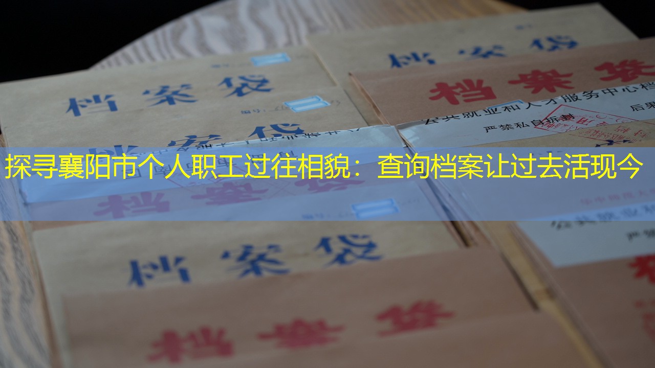 档案查询