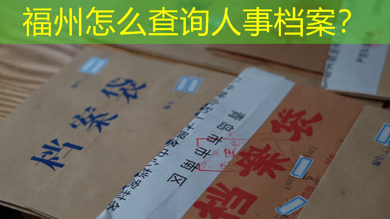 档案查询