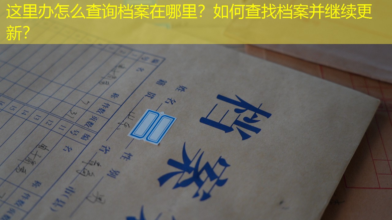 档案查询