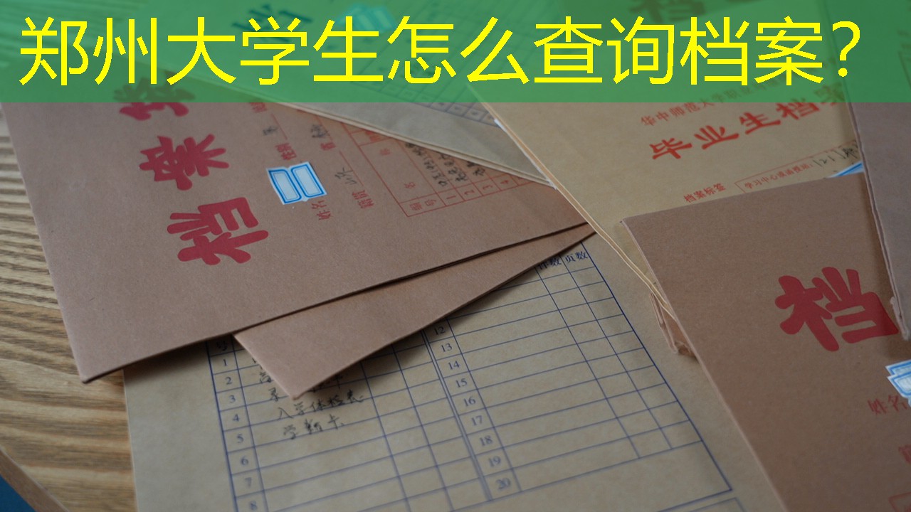 档案查询