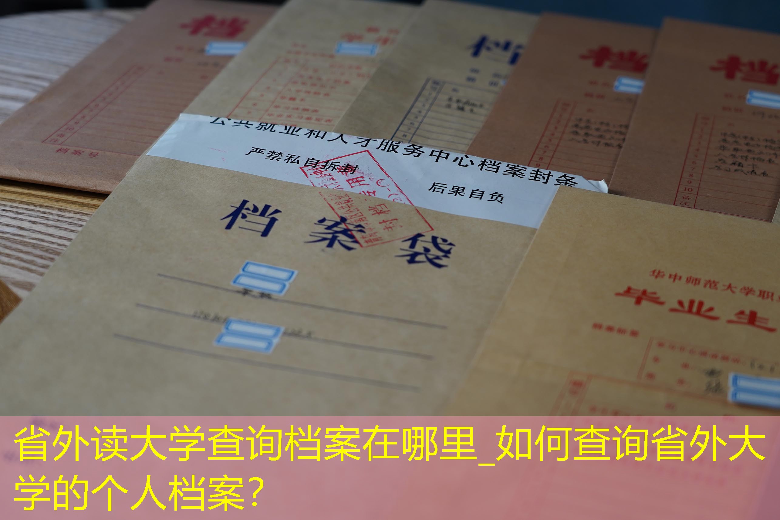 档案查询