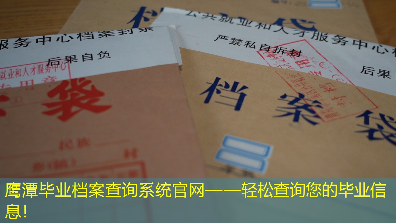 档案查询