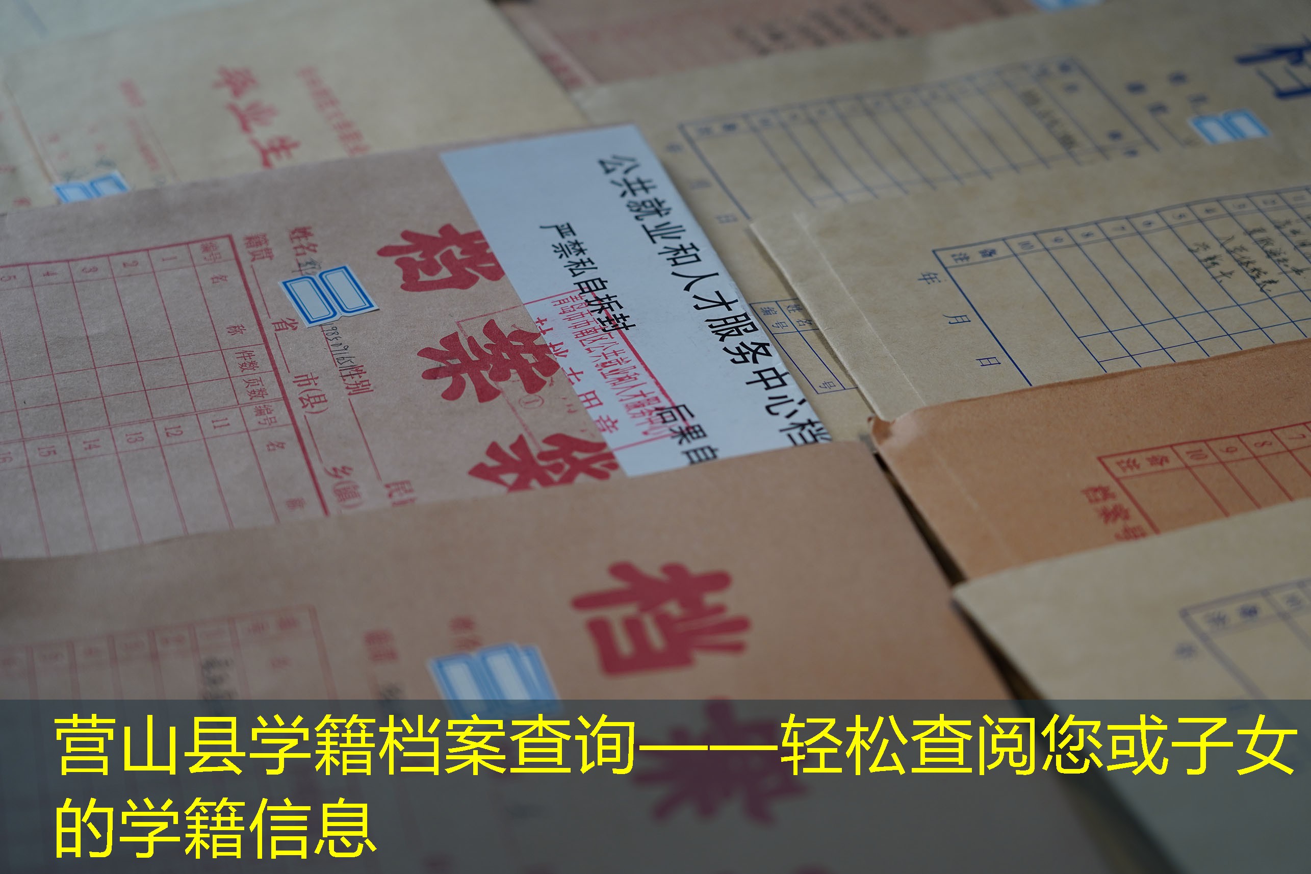 档案查询