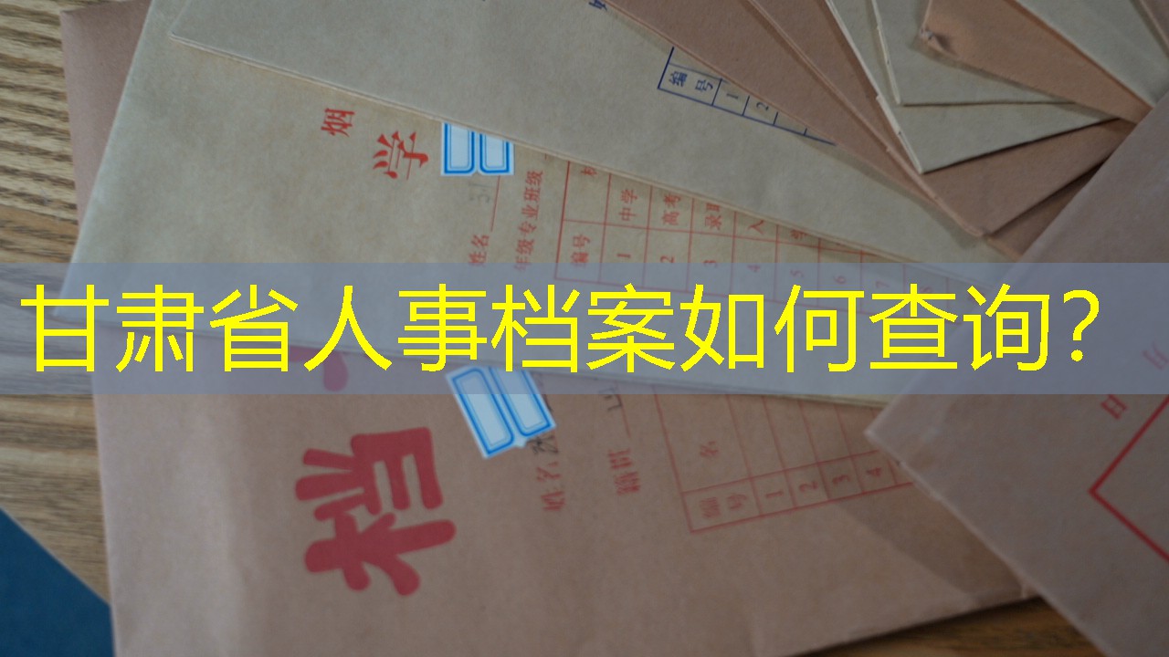 档案查询