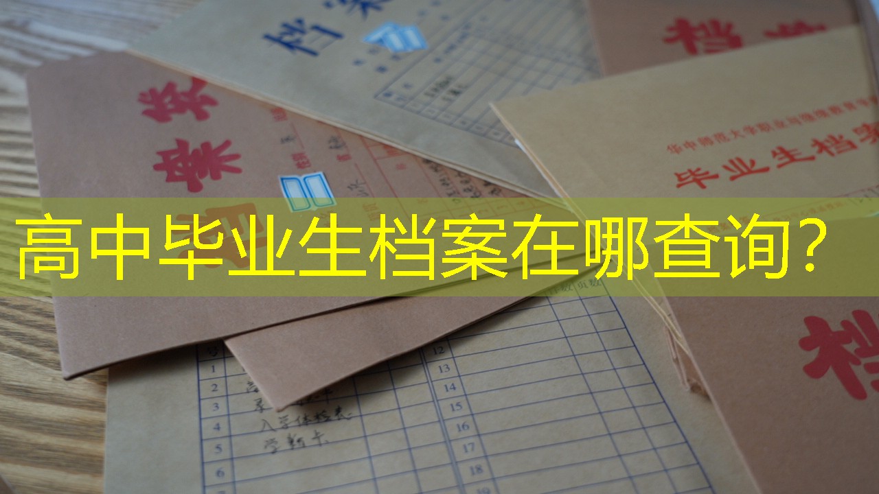 档案查询