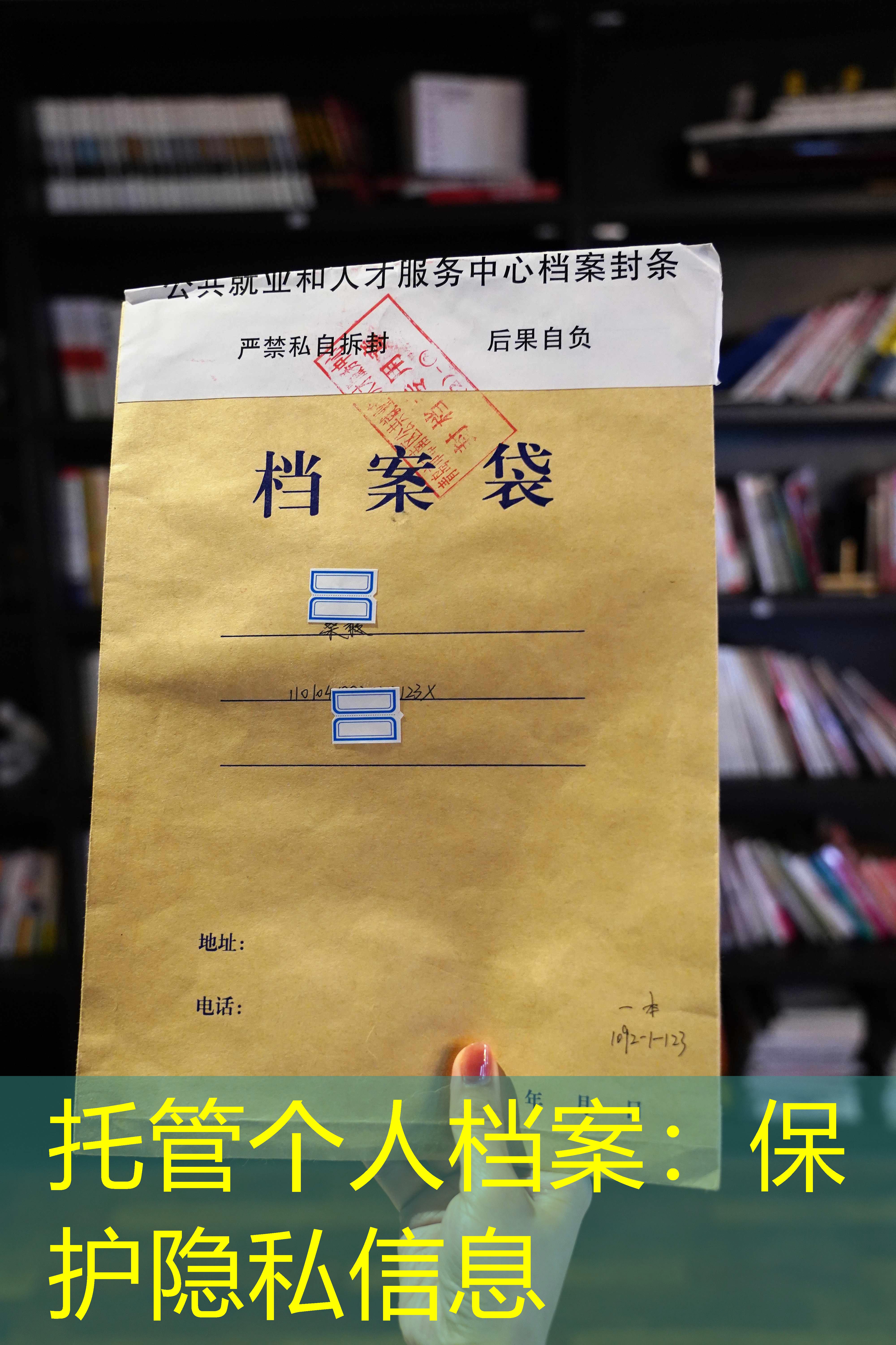 档案查询