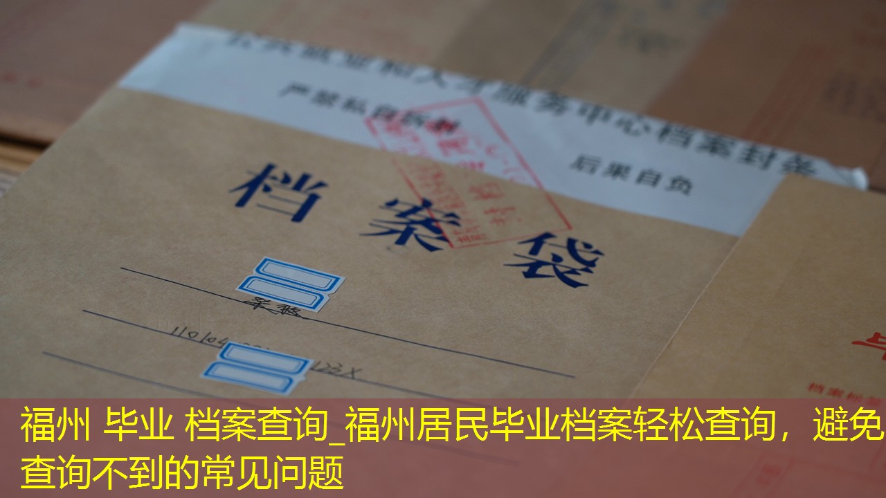 档案查询