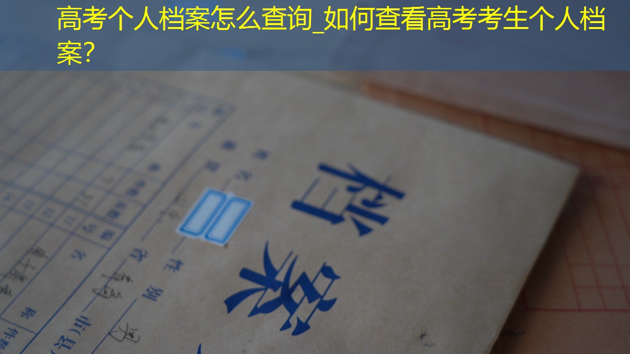 档案查询