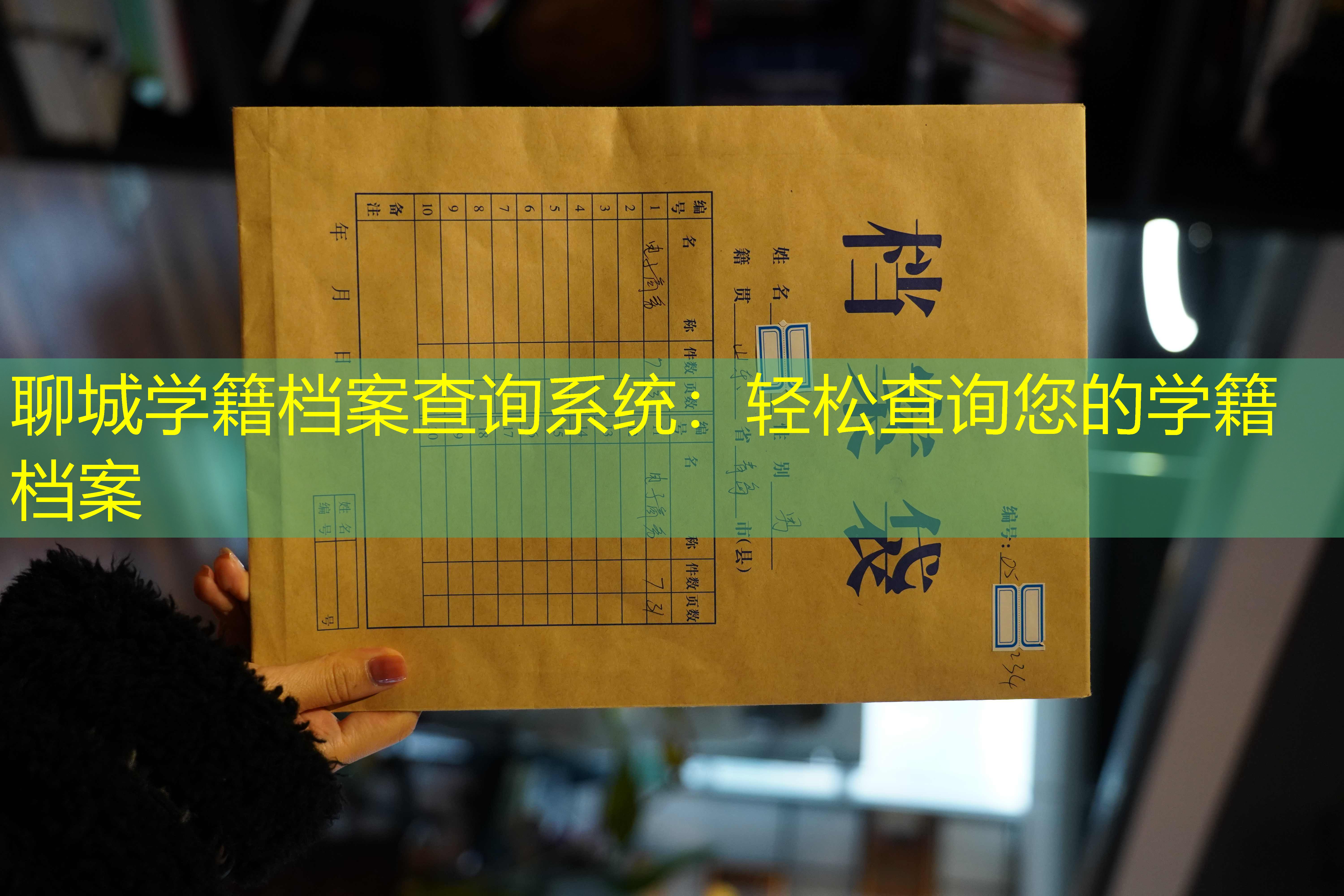 档案查询