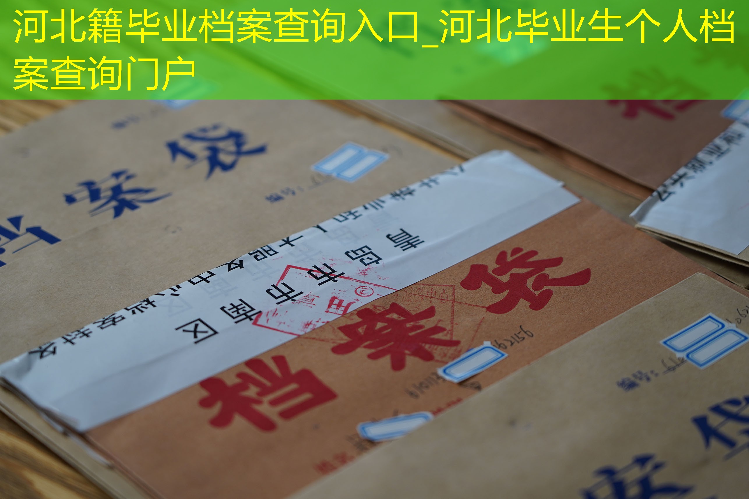 档案查询