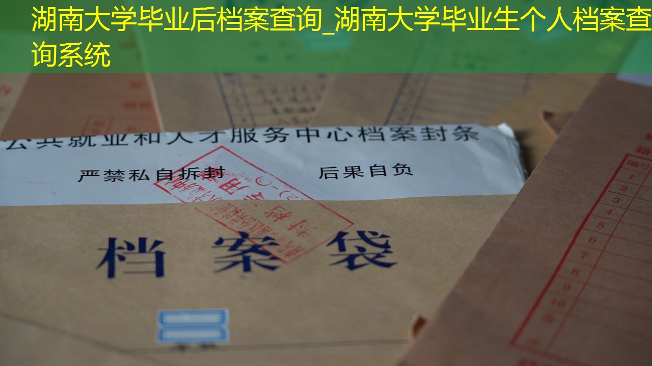 档案查询