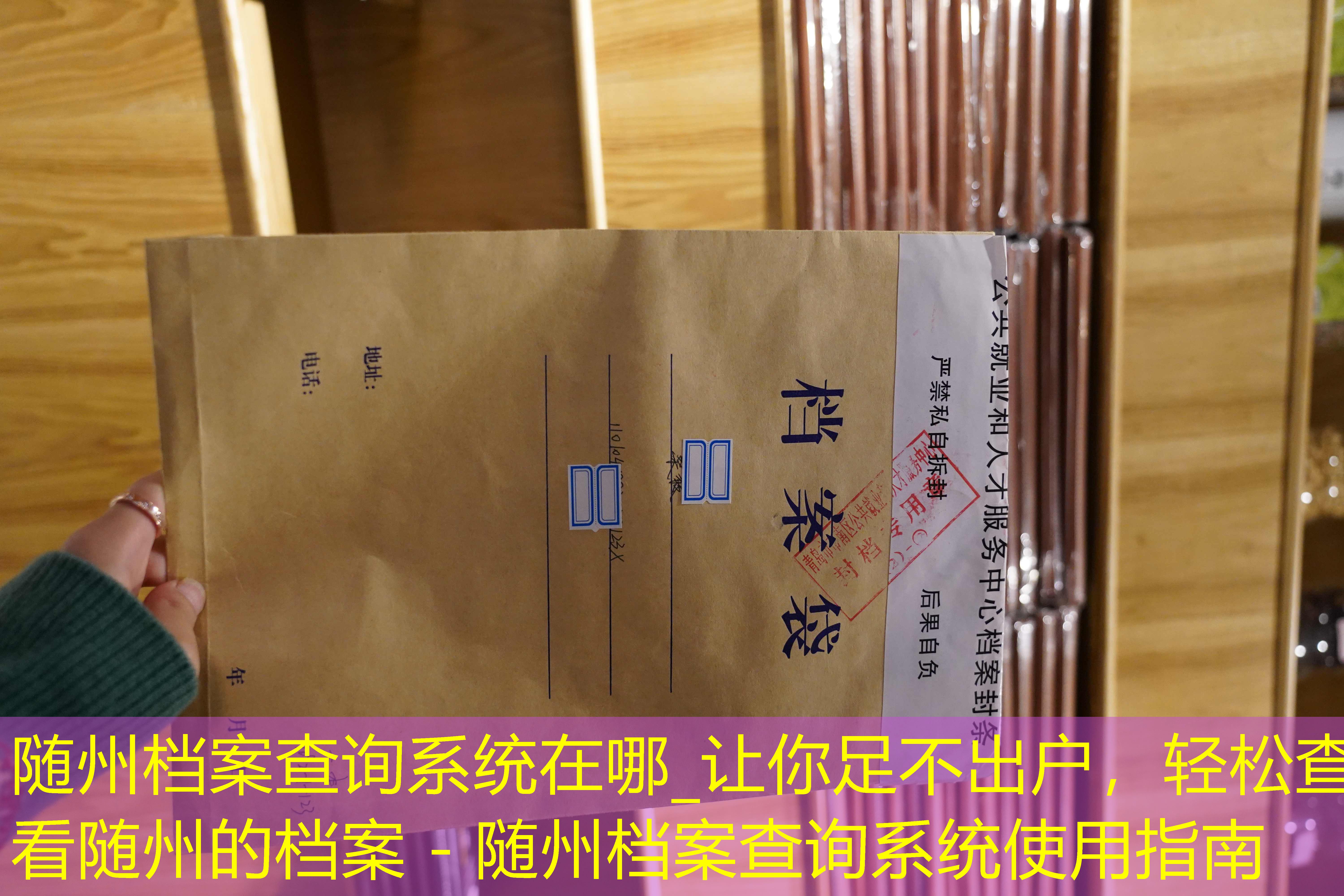 档案查询
