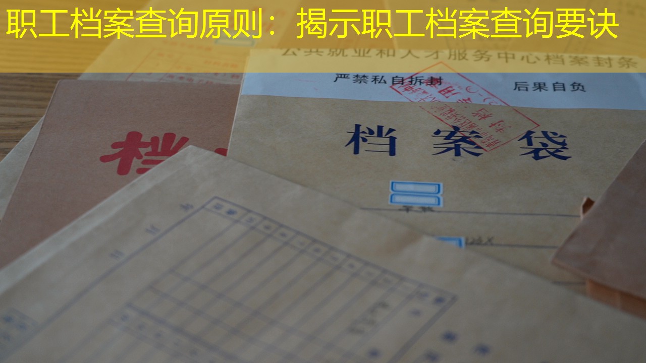 档案查询