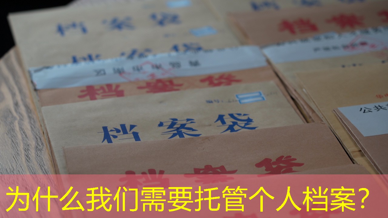 档案查询