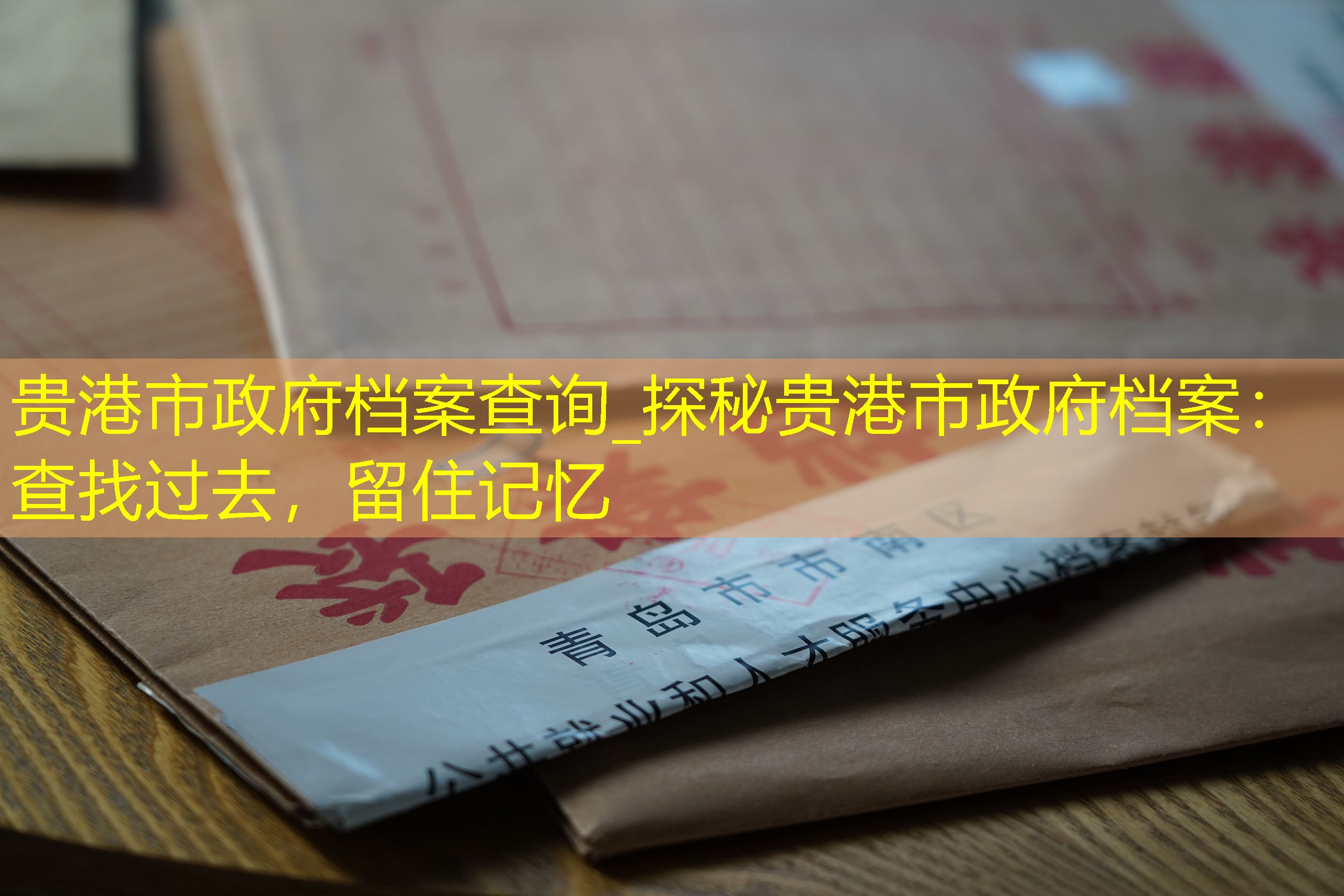 档案查询