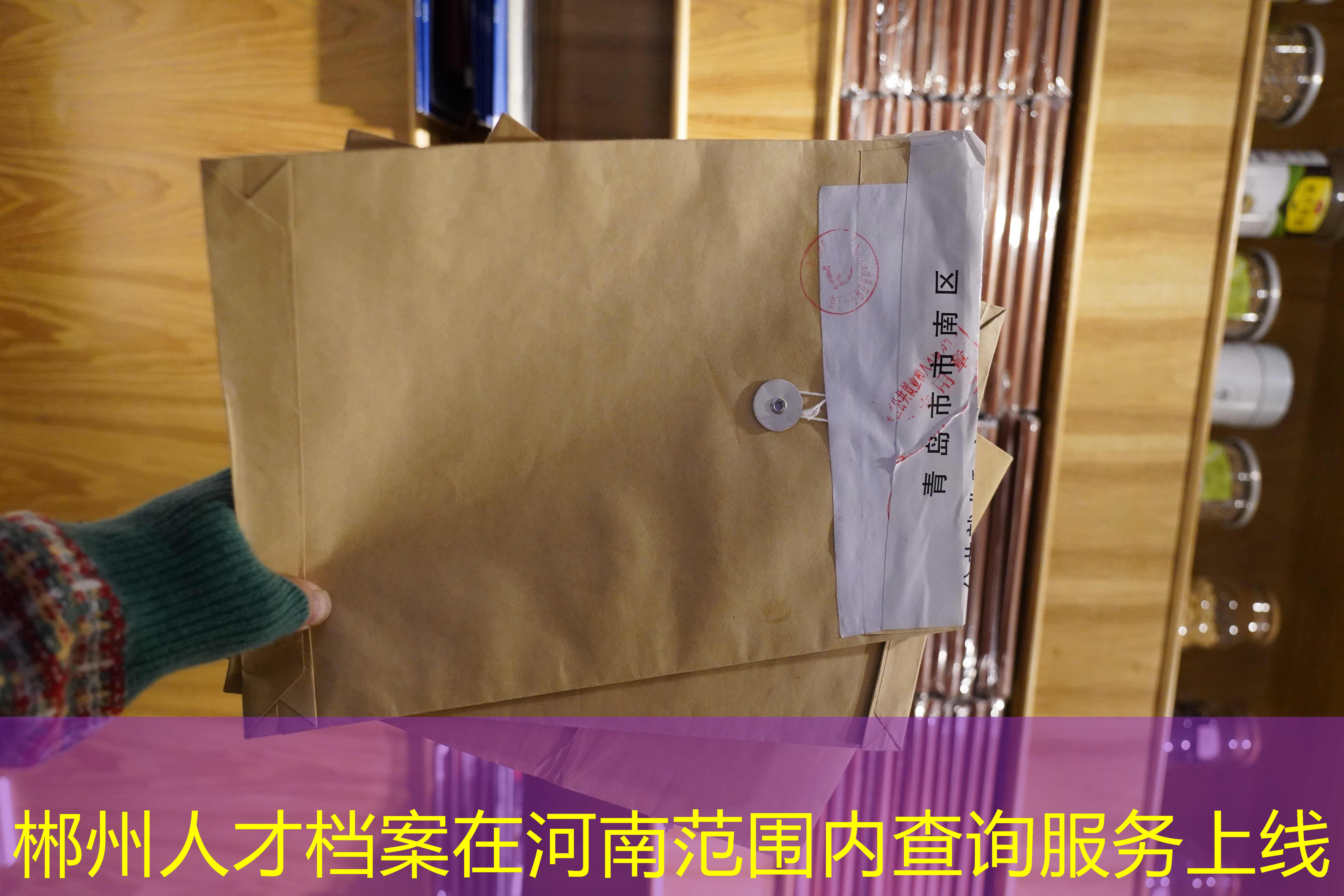 档案查询
