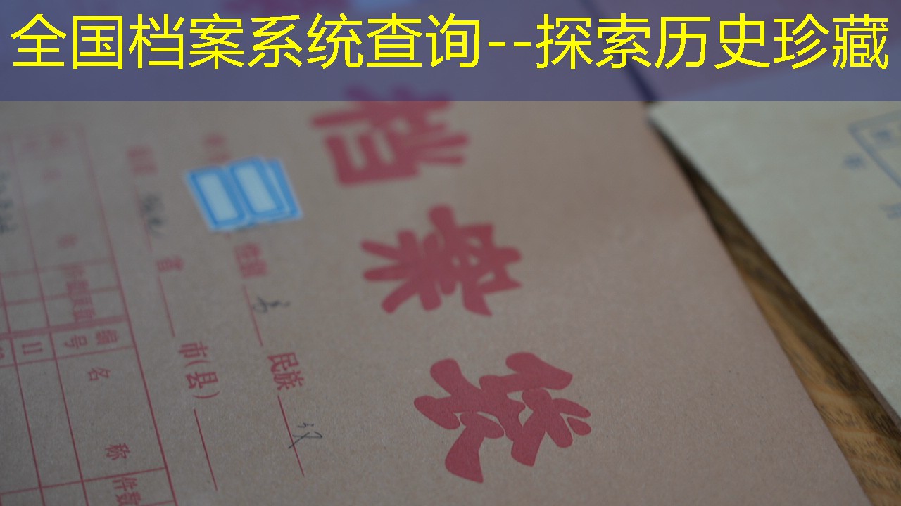 档案查询