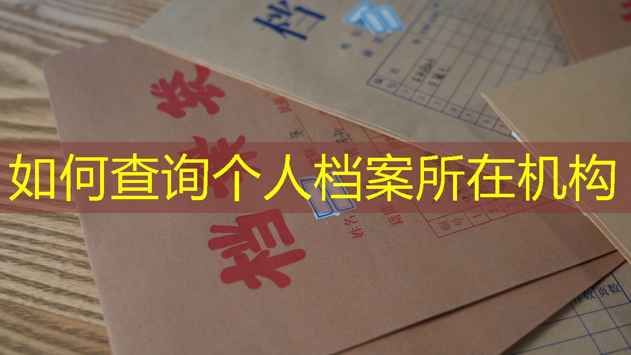 档案查询