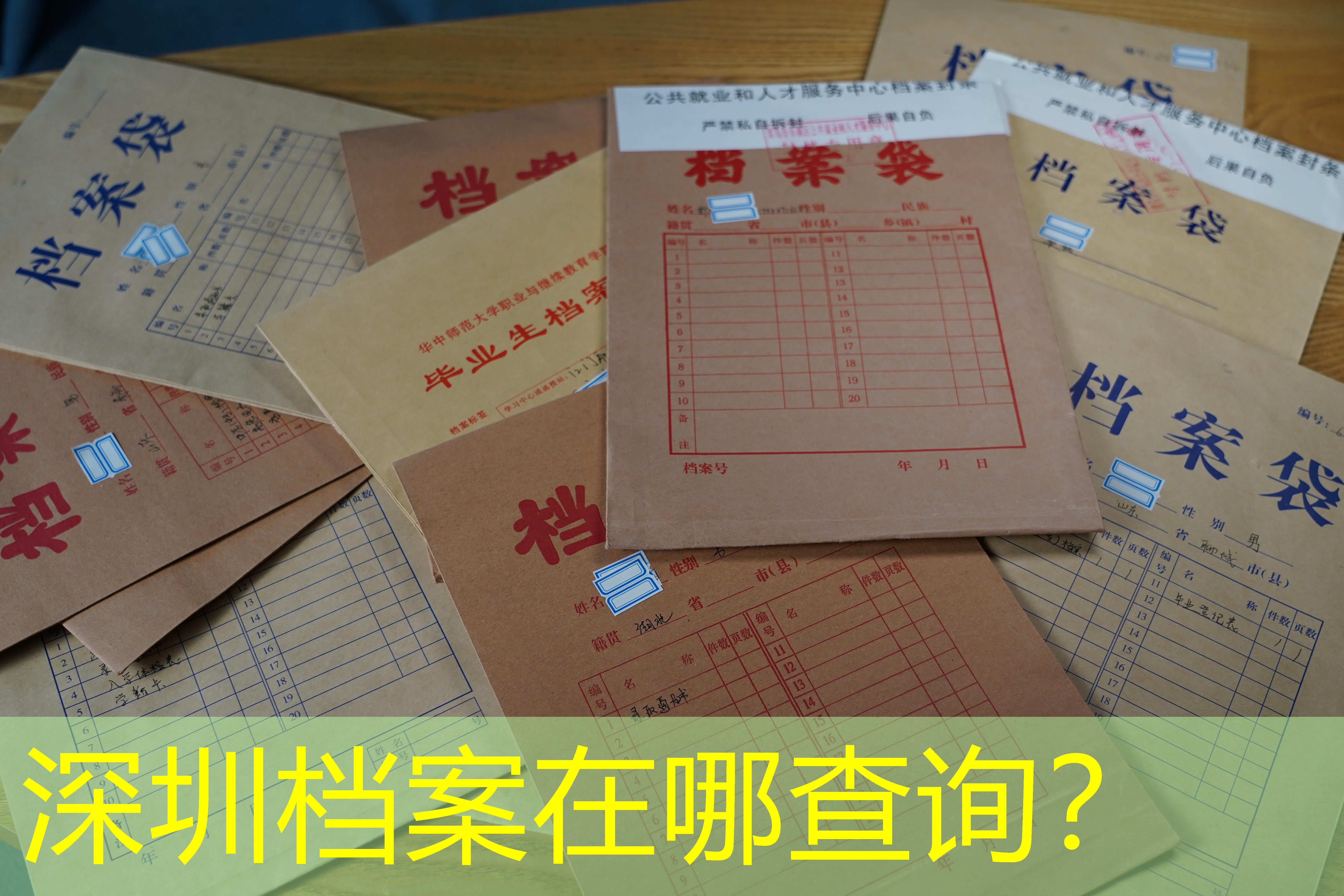 档案查询