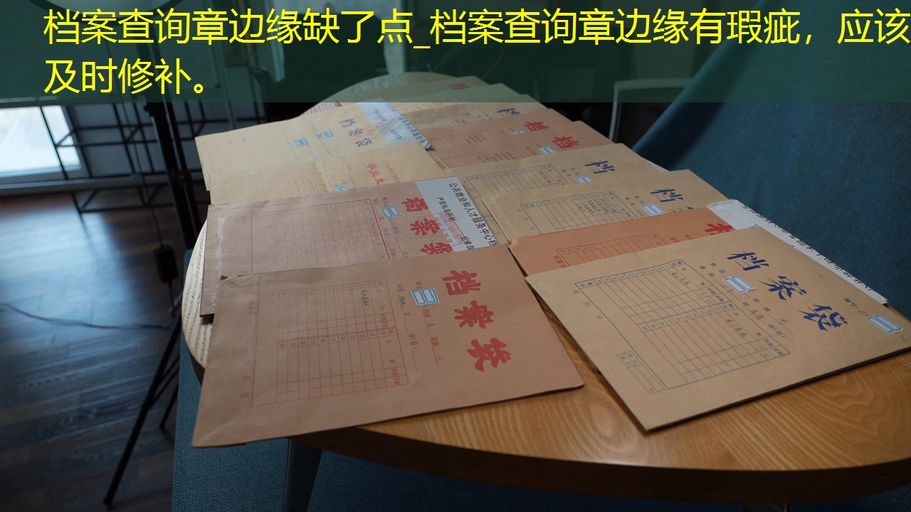 档案查询