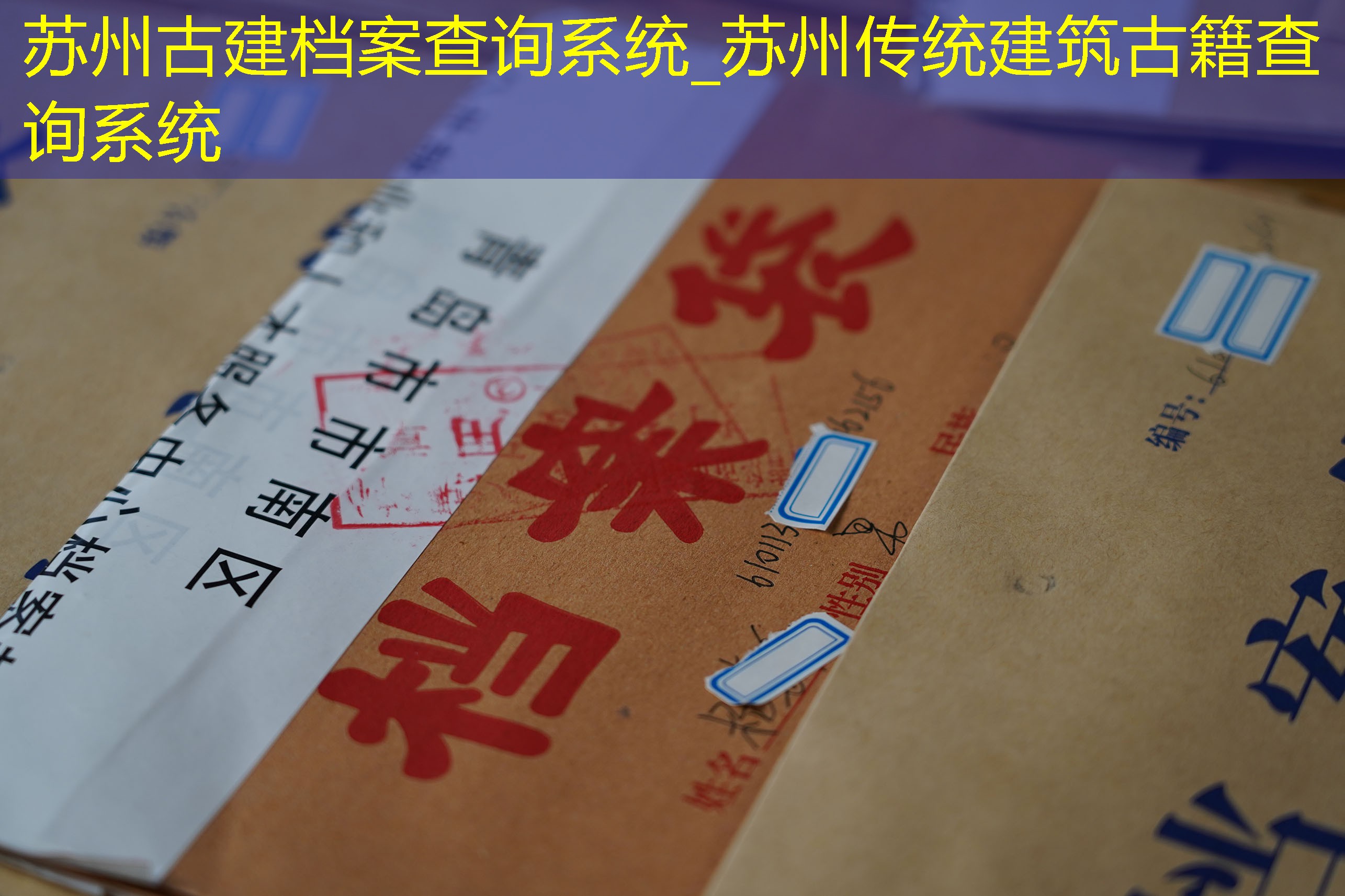 档案查询