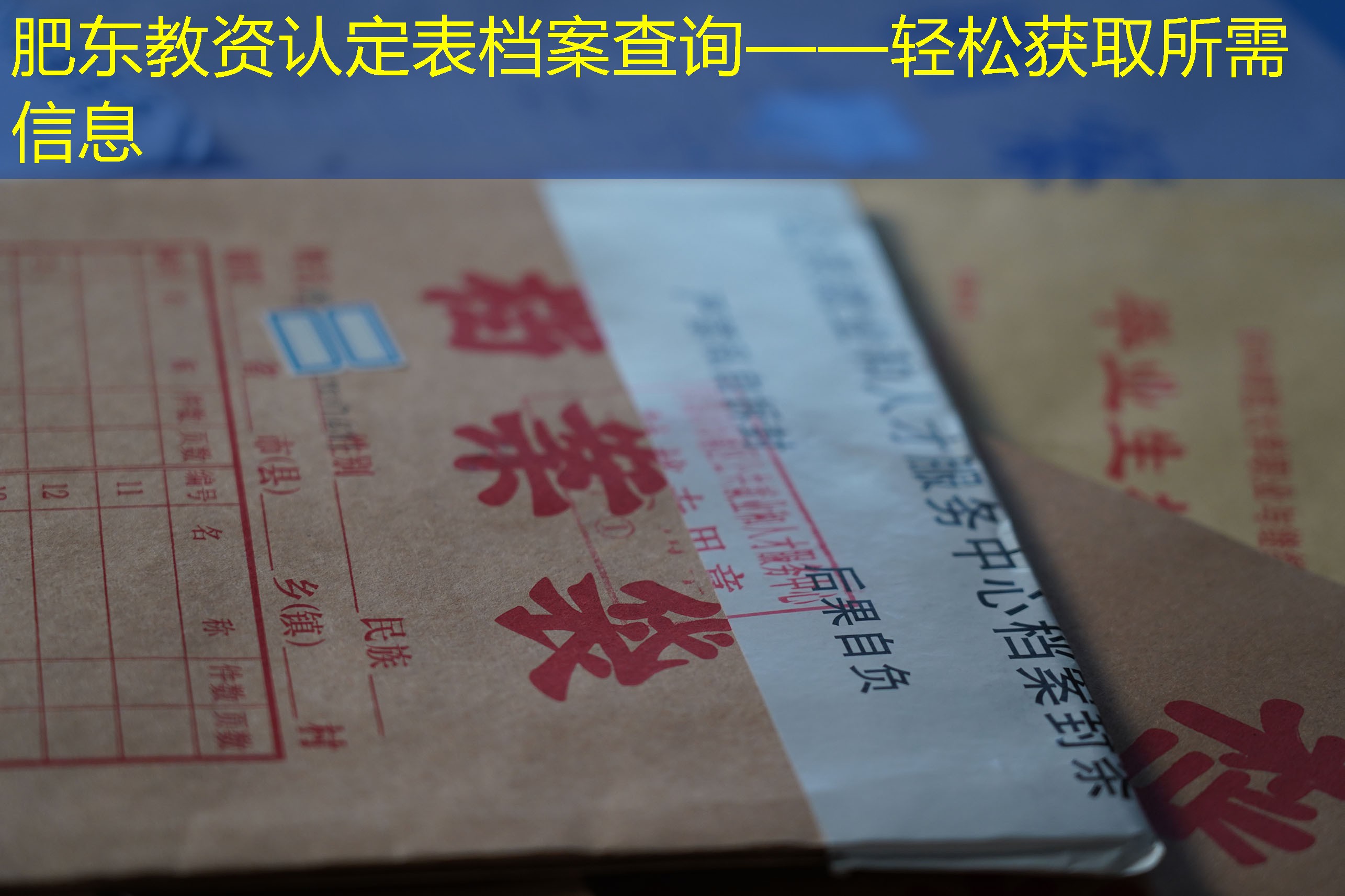 档案查询